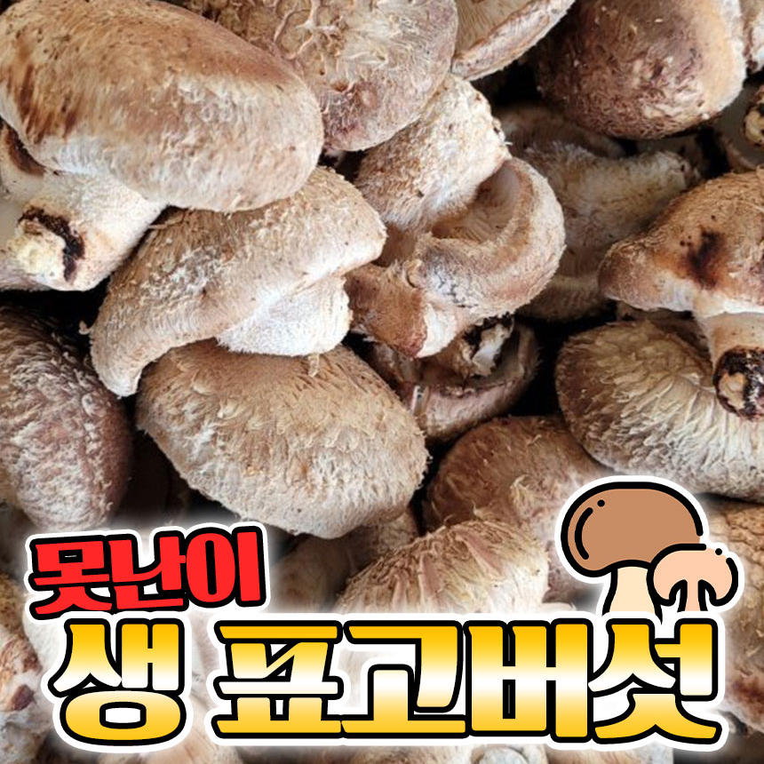 못난이 표고버섯
