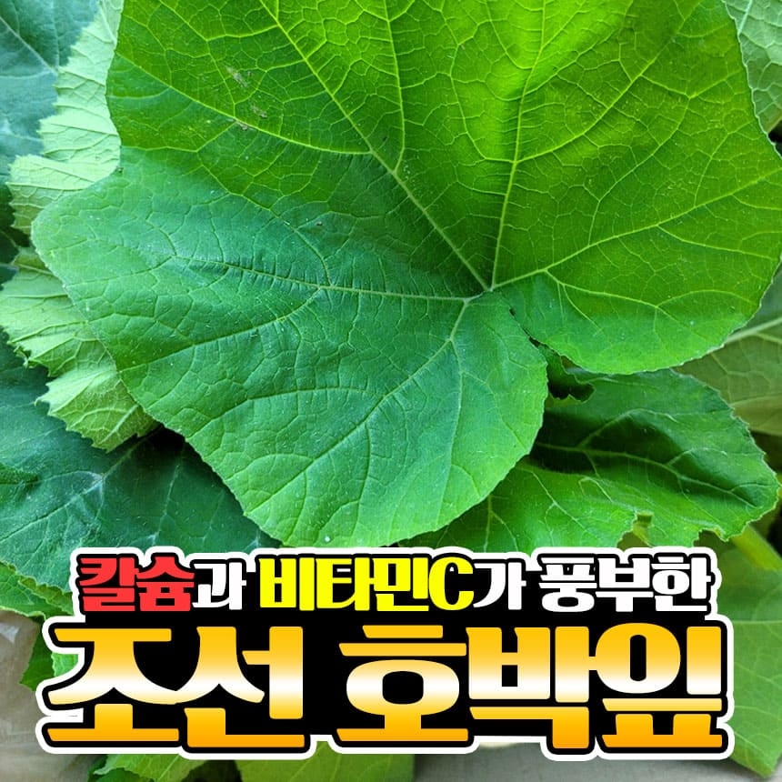 조선 호박잎
