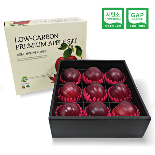 저탄소 GAP 인증 피치애플 엔부사과 (특대) 4kg(9과)_M