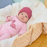 로봇공룡전신슈트